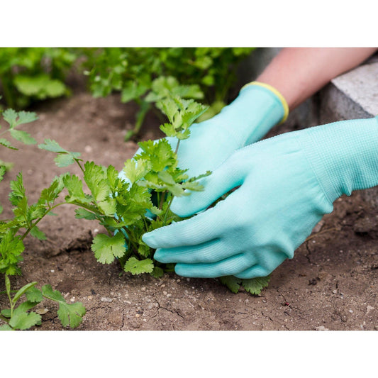 101: Crop Planting Workshop - Nutrient Farm