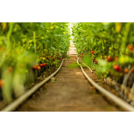 106: Orchard Establishment and Management Workshop - Nutrient Farm