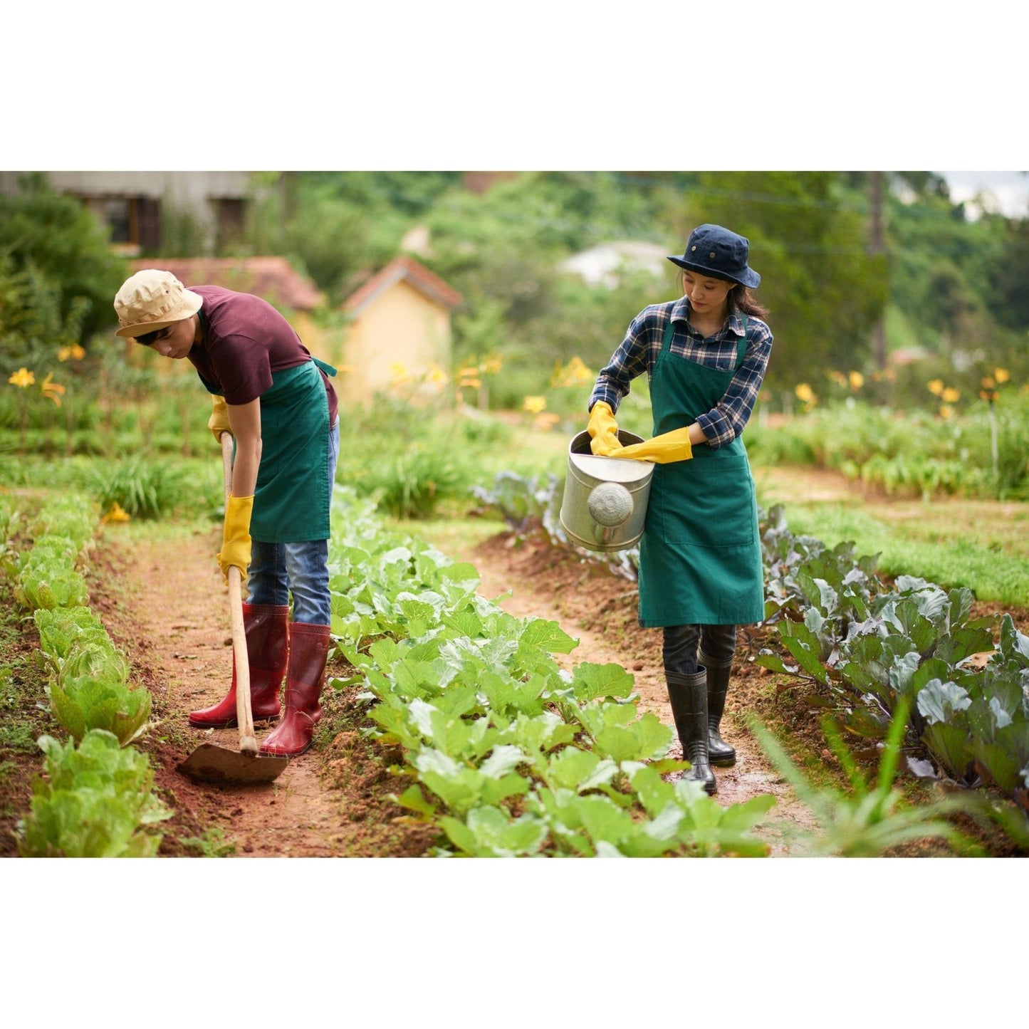 109: Agrochemical Alternatives and Biopesticides Workshop - Nutrient Farm