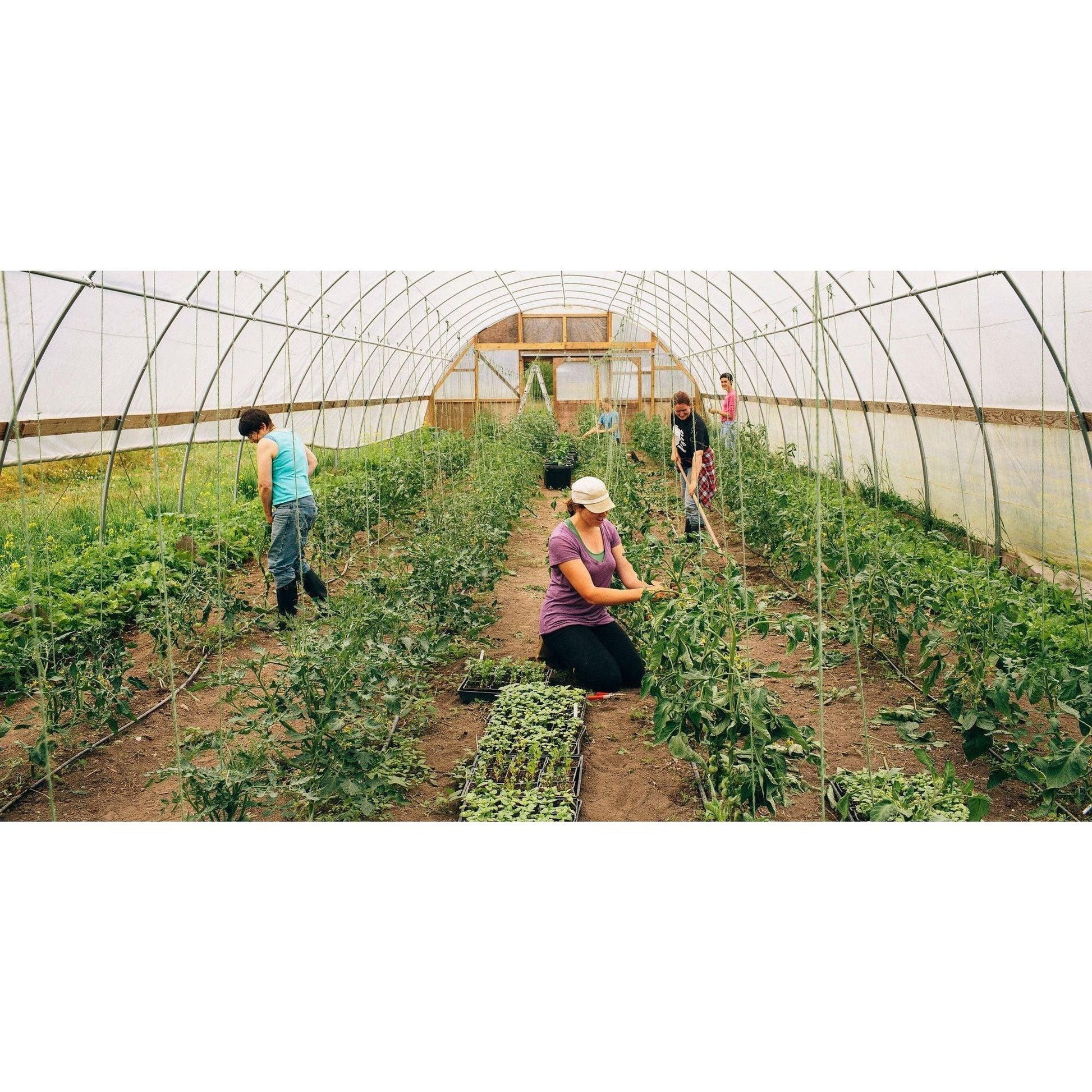 110: The Farm Hand Experience Workshop - Nutrient Farm