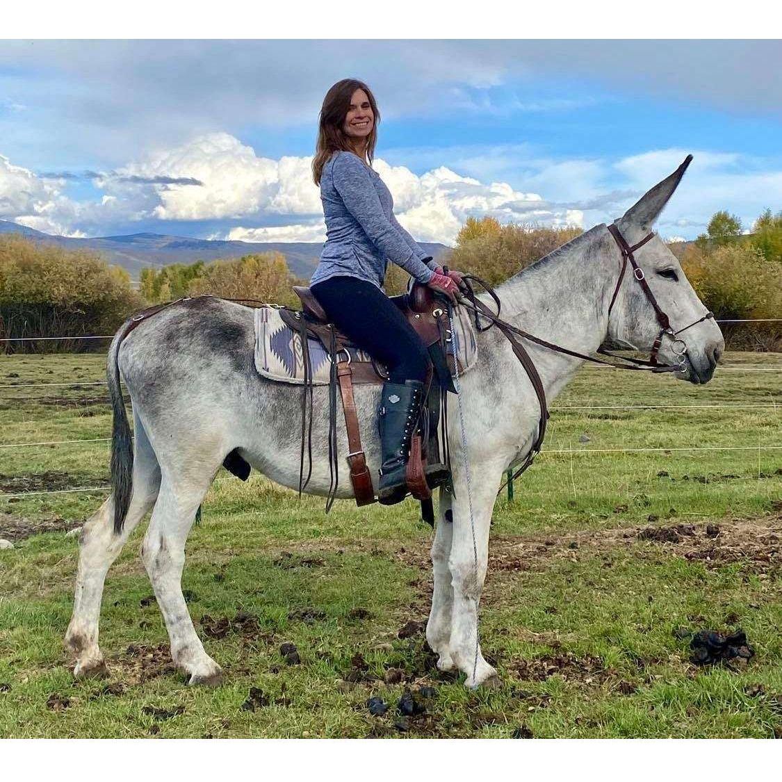 2 Mammoth Jack Donkey Riding Tour - Nutrient Farm