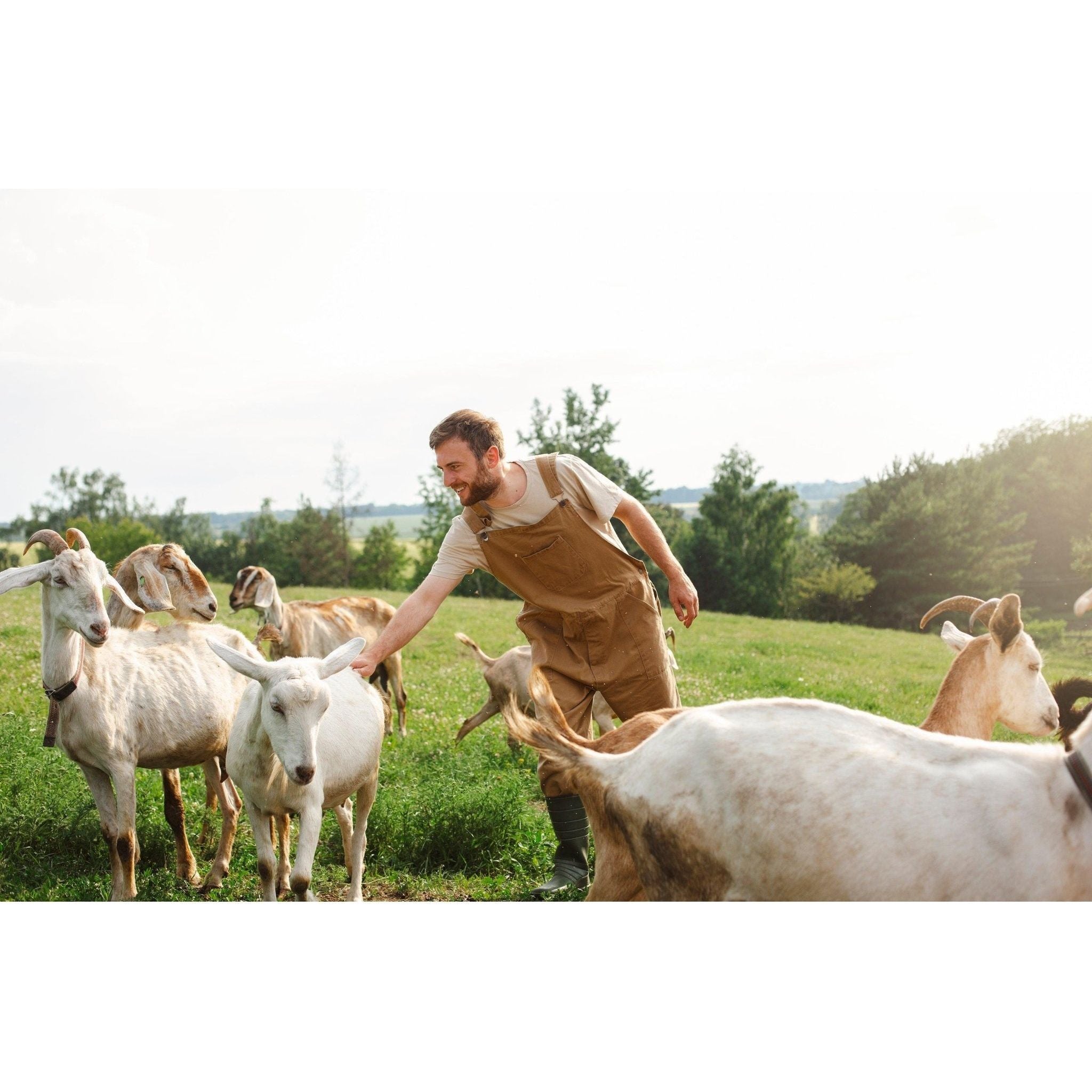 200: Animal Husbandry Basics Workshop - Nutrient Farm