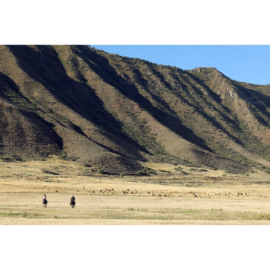 201: Cattle Ranching and Management Workshop - Nutrient Farm