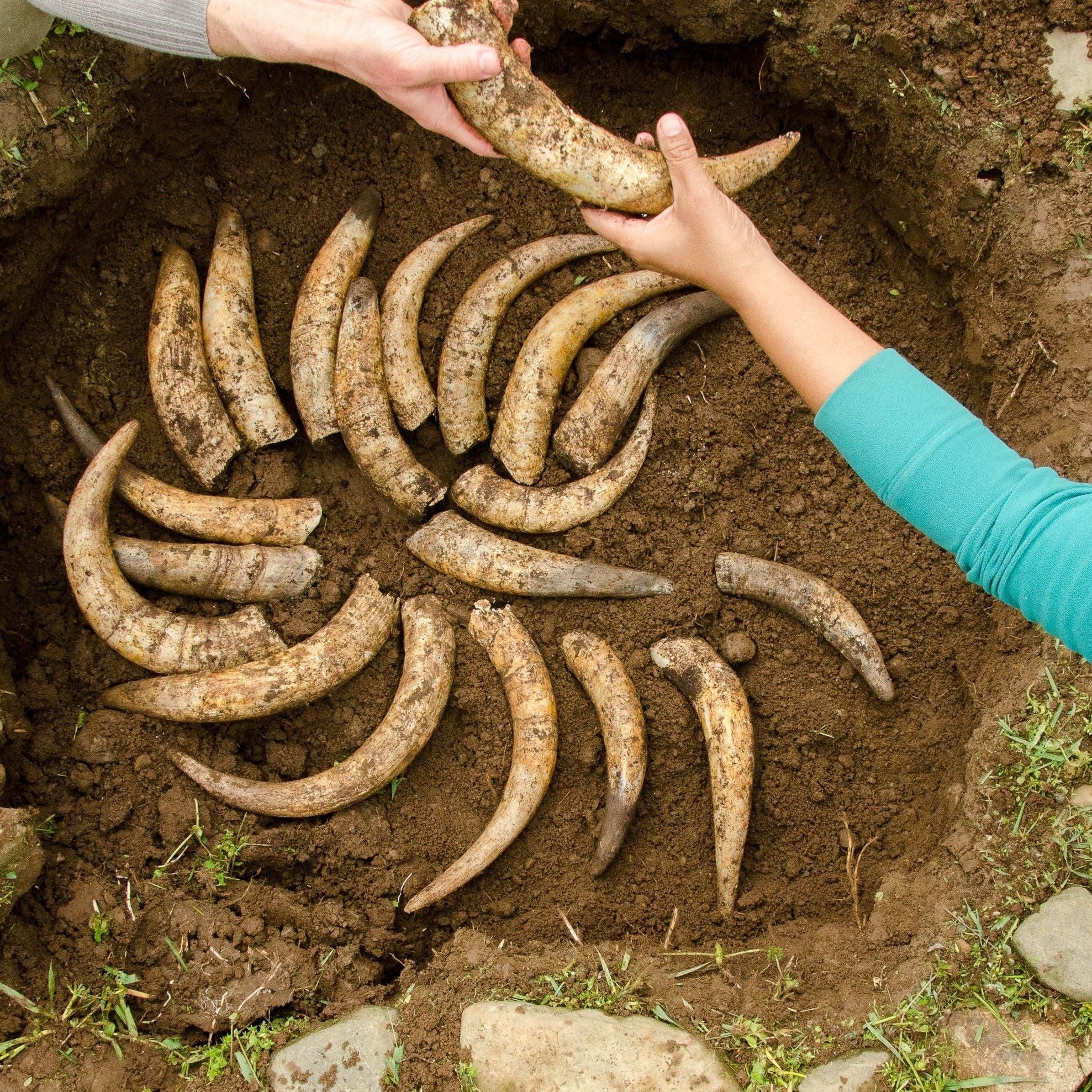 301: Intro to Biodynamic Agriculture Workshop - Nutrient Farm