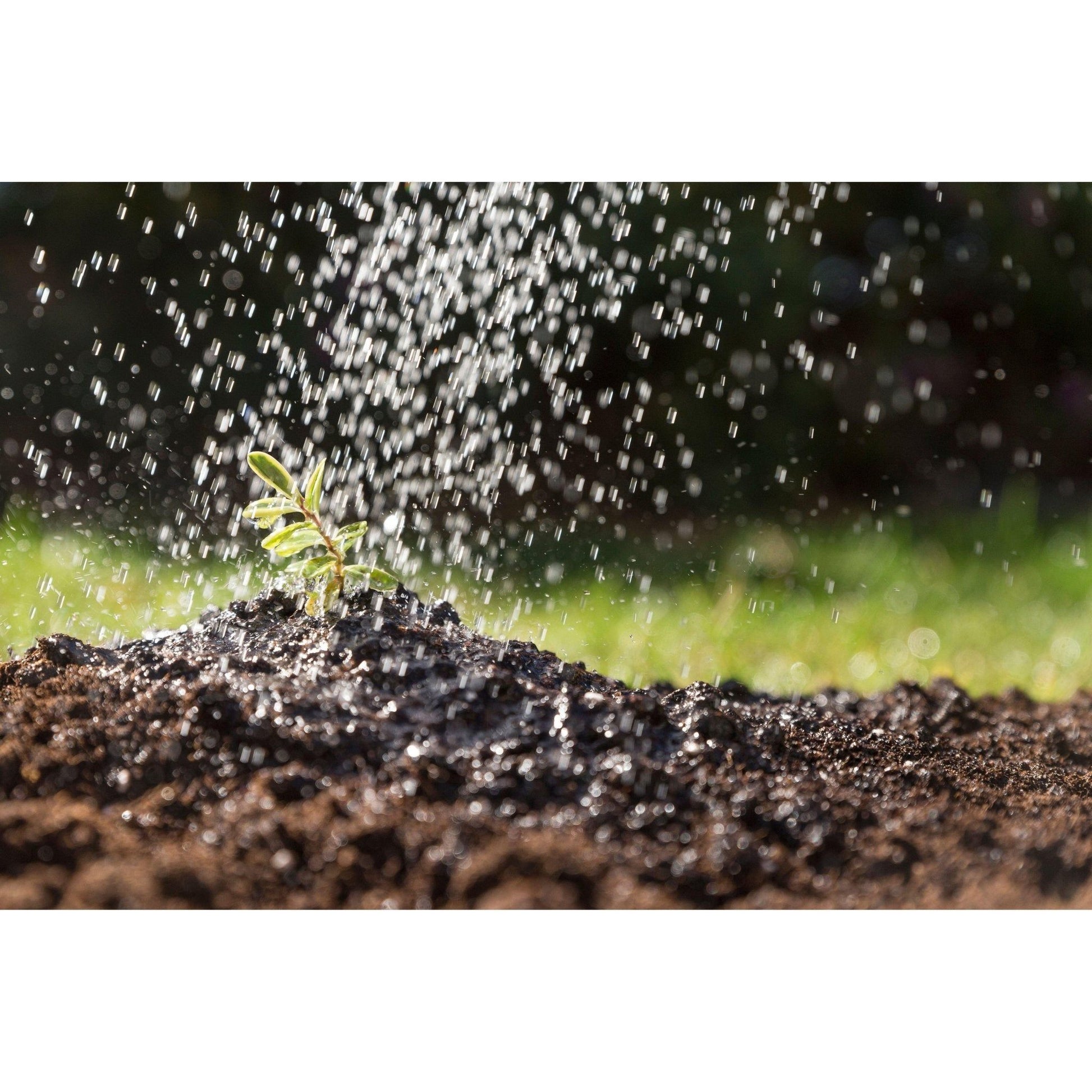 302: Water Conservation and Irrigation Techniques Workshop - Nutrient Farm