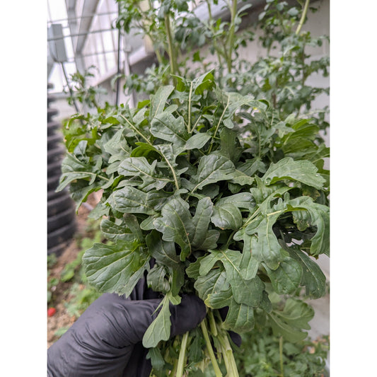 Arugula