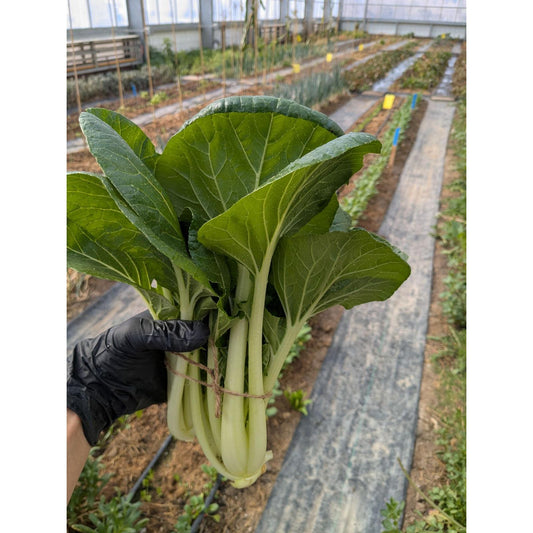 Bokchoy