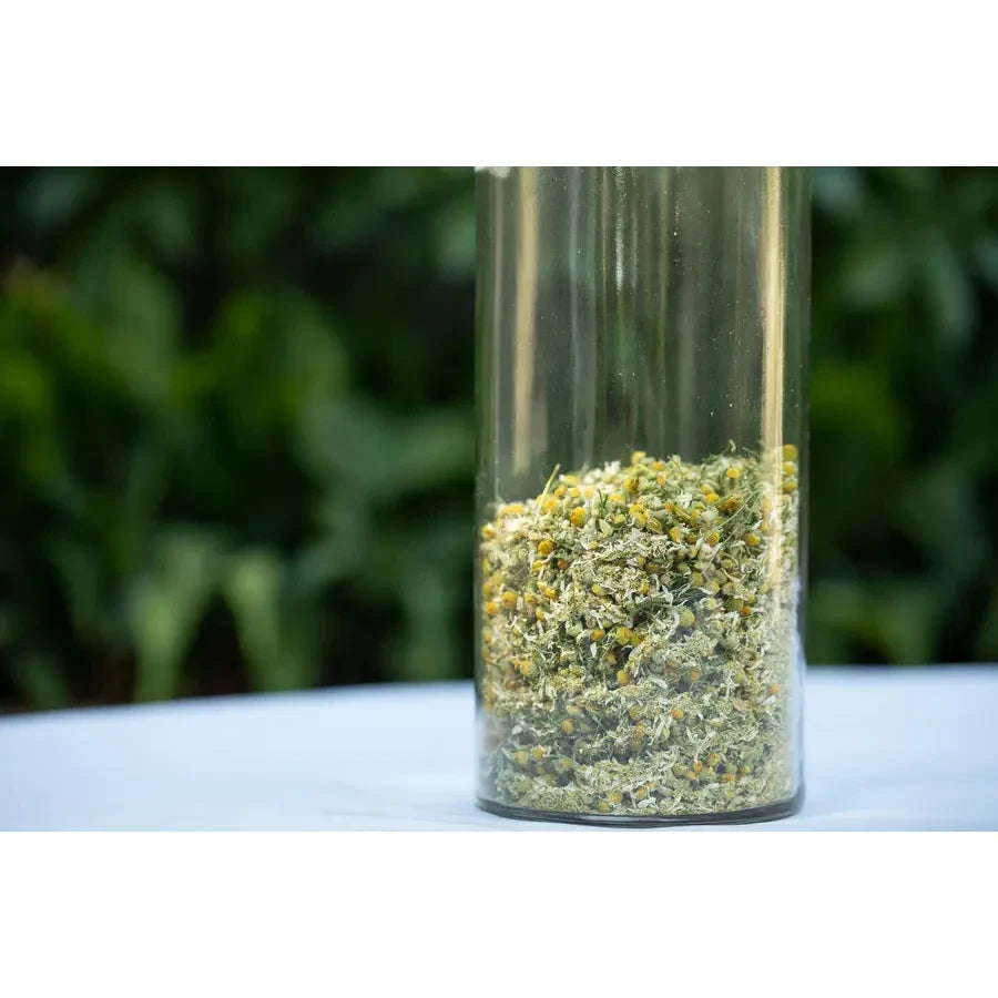 Biodynamic Preparation #503 Cow Small Intestine Fermented German Chamomile