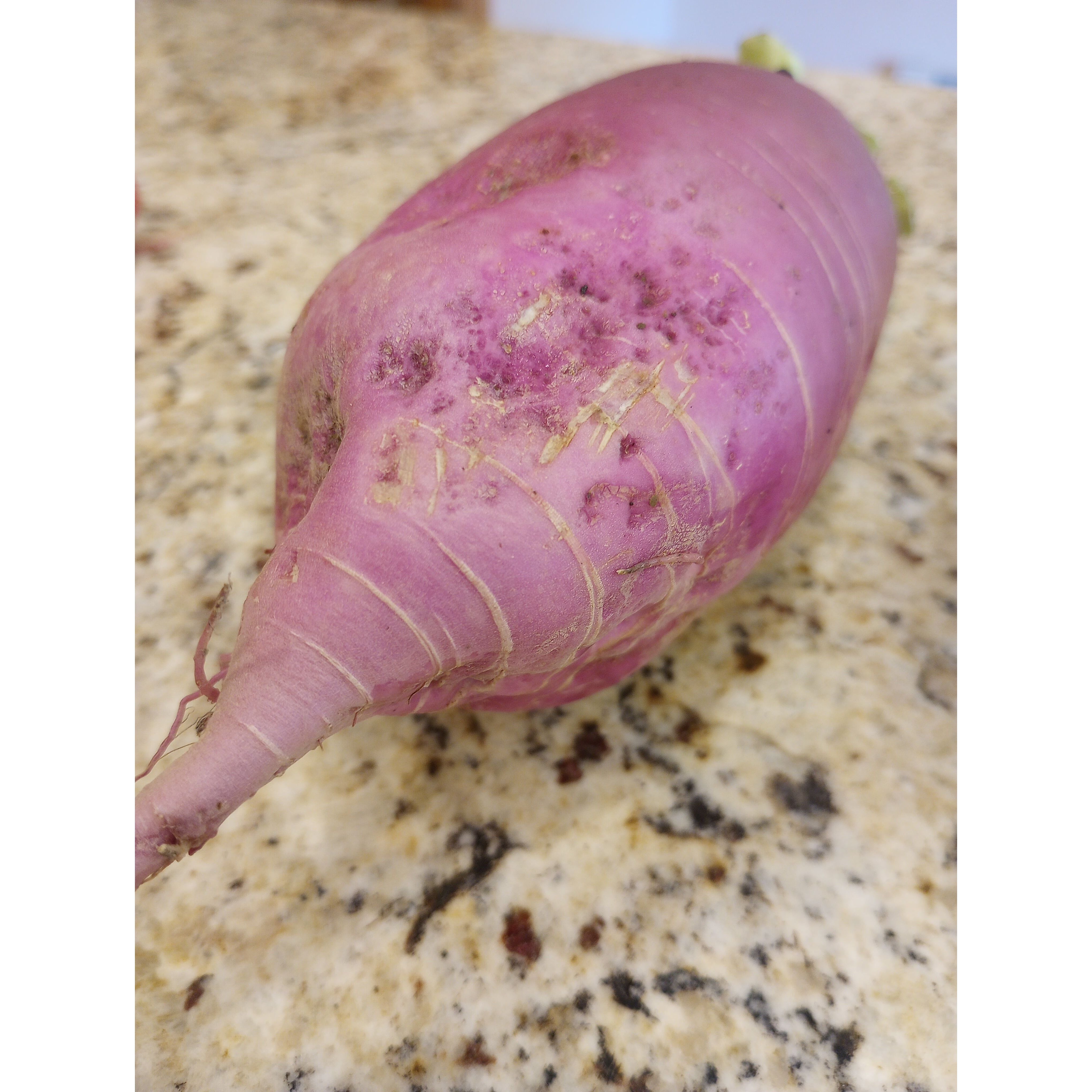 Radish