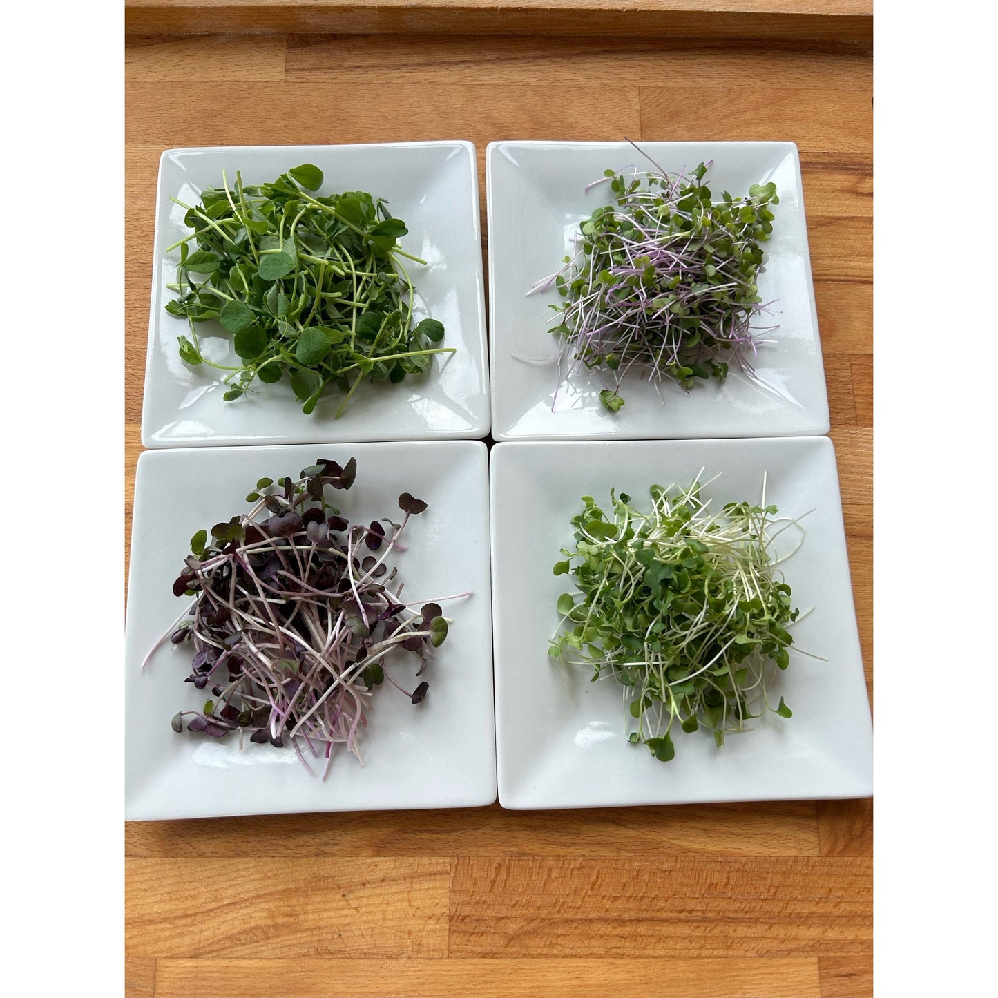 Organic Microgreens Salad Mix