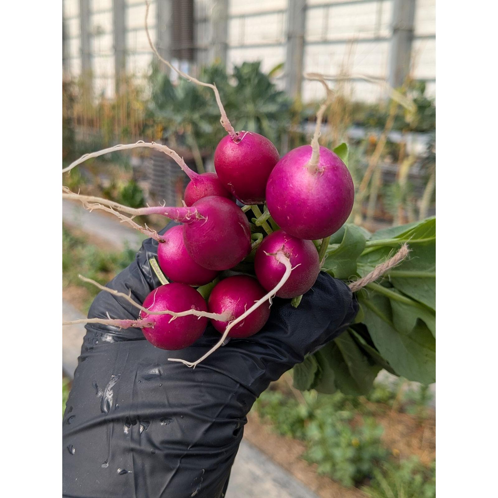 Nutrient Farm