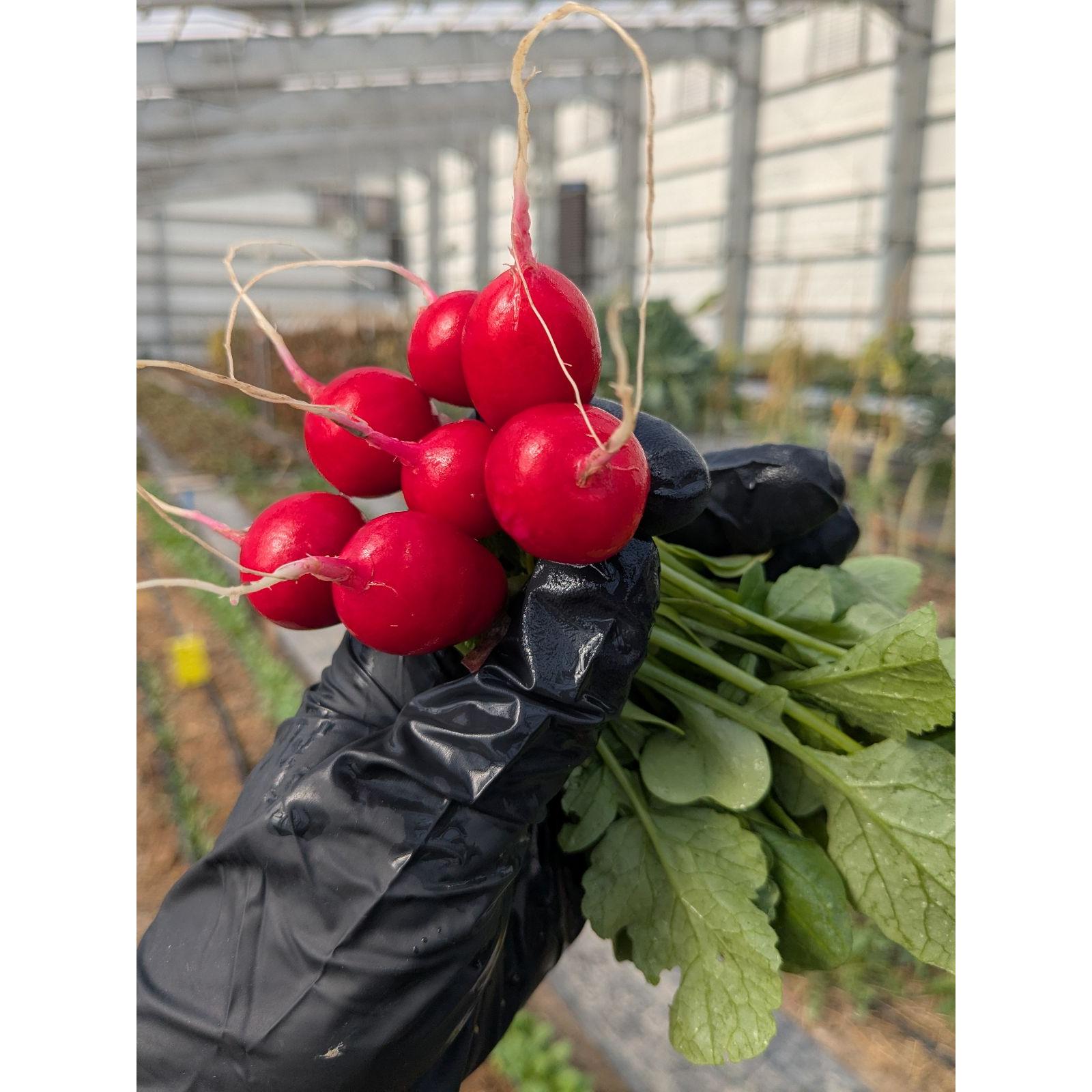 Nutrient Farm