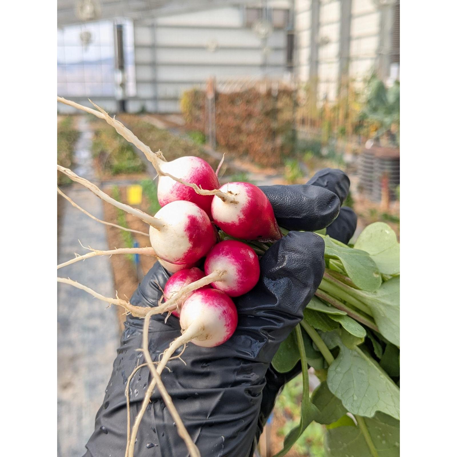 Nutrient Farm