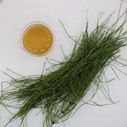 Biodynamic Preparation #508 Equisetum Tea