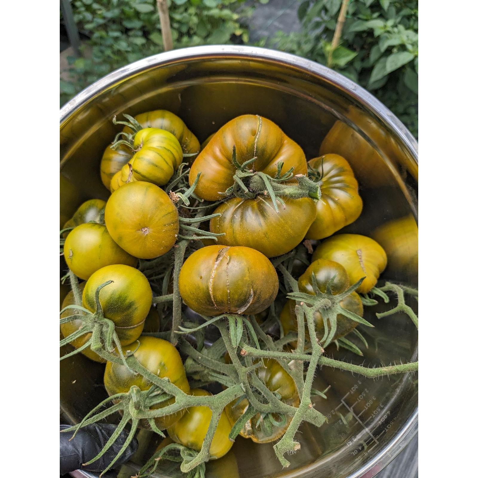 Tomato Cluster