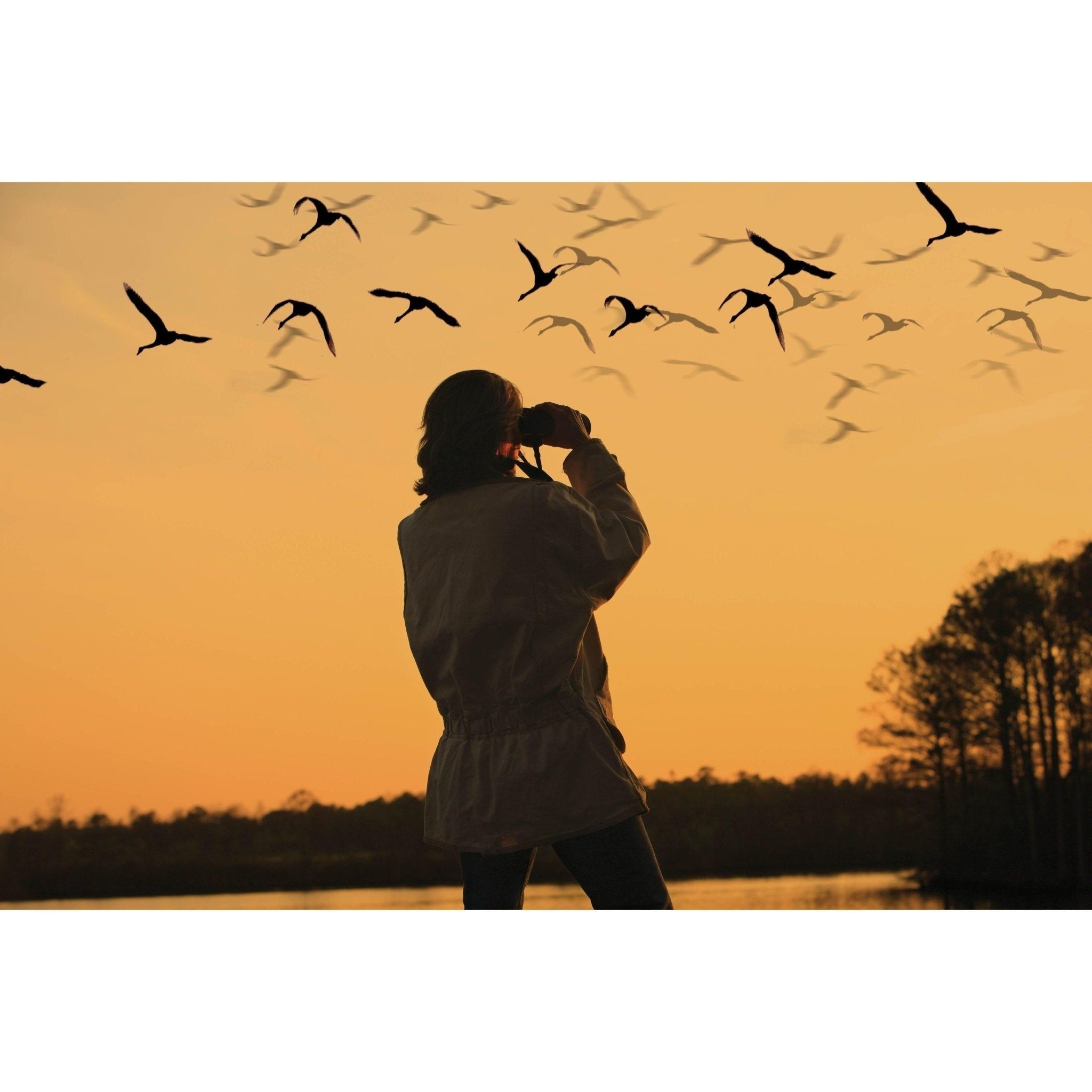 Bird Watching Tour - Nutrient Farm