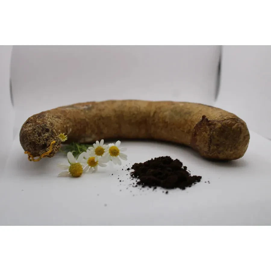 Biodynamic Preparation #503 Cow Small Intestine Fermented German Chamomile