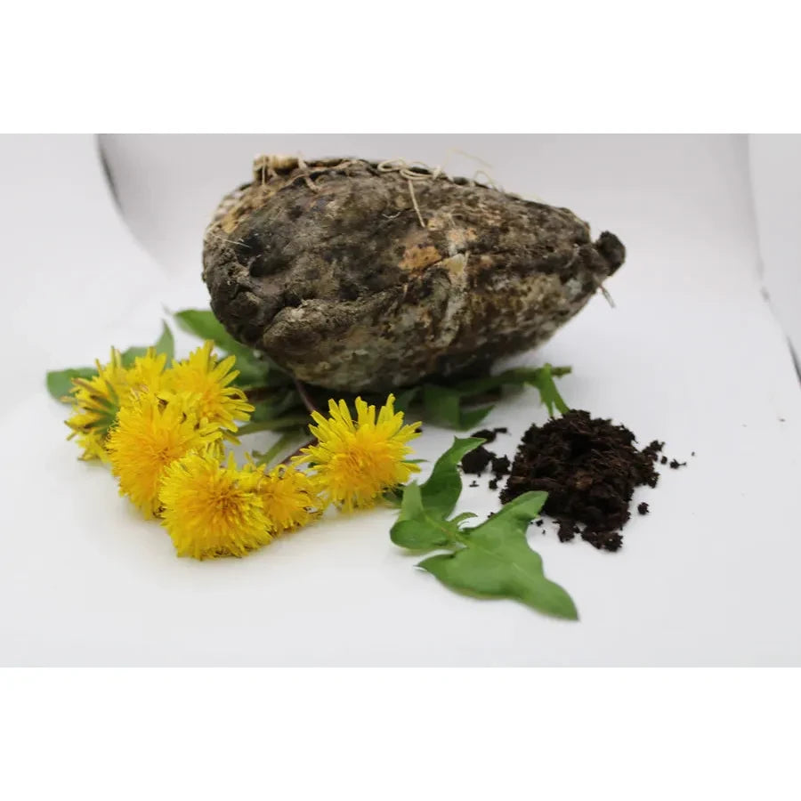 Biodynamic Preparation #506 Cow Mesentery Fermented Dandelion