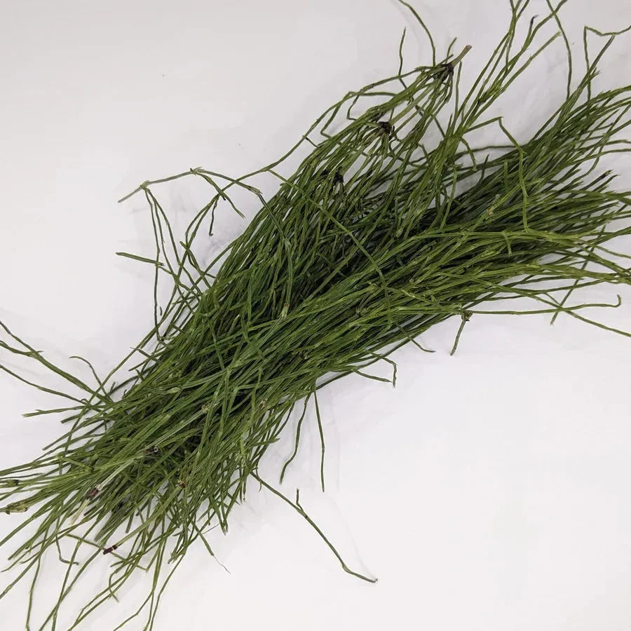 Biodynamic Preparation #508 Equisetum Tea