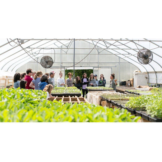 Farm Tour - Nutrient Farm