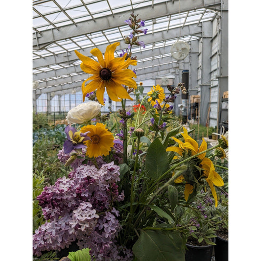 Flower Mix Bouquet - Nutrient Farm