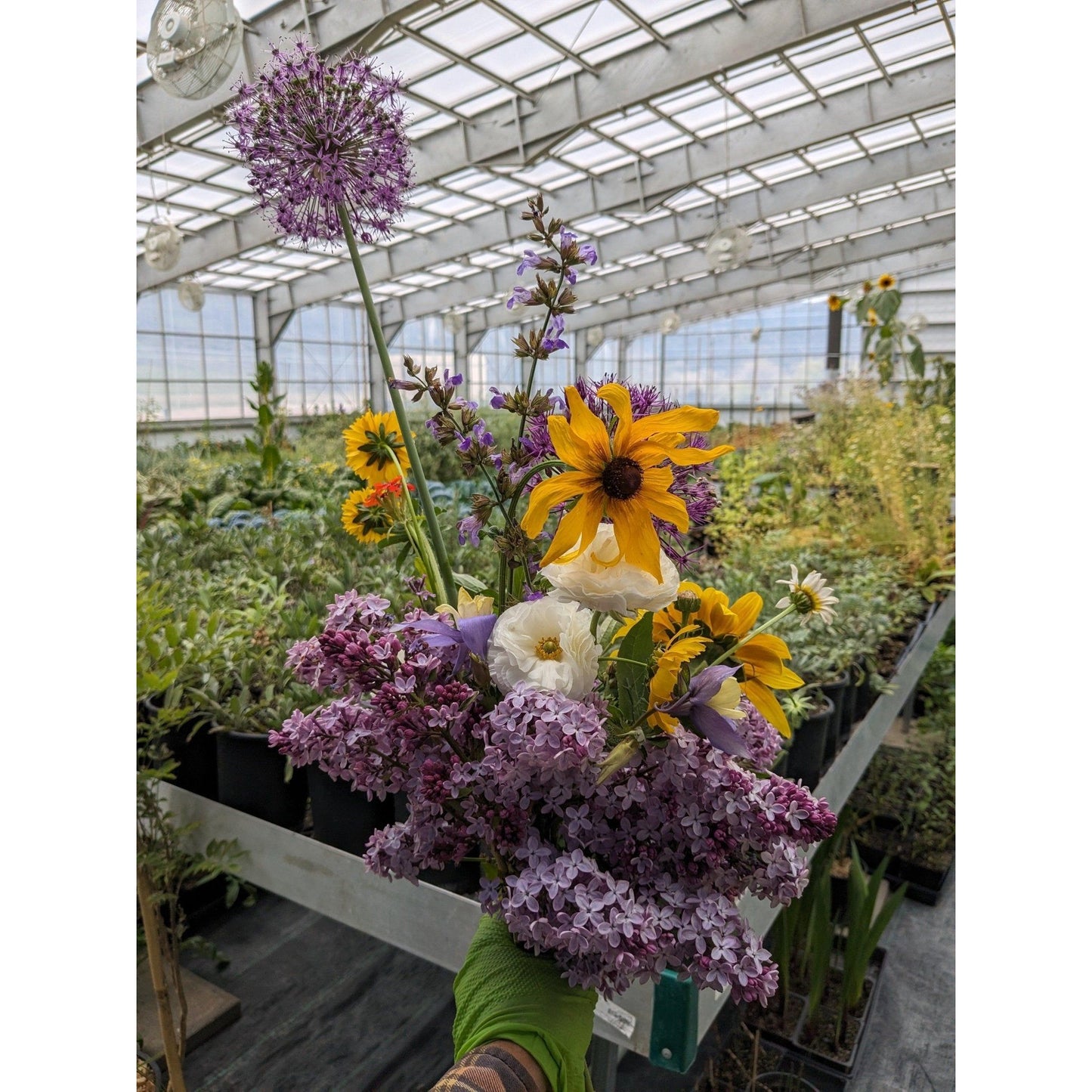 Flower Mix Bouquet - Nutrient Farm