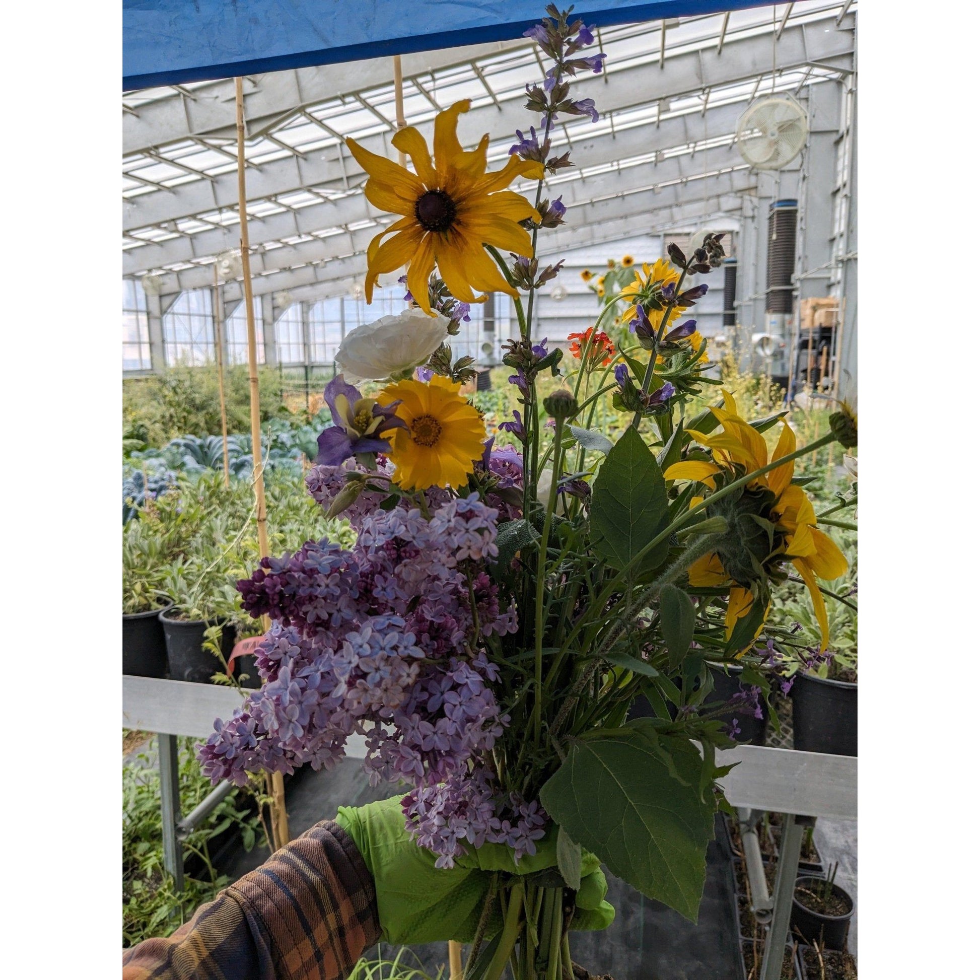 Flower Mix Bouquet - Nutrient Farm