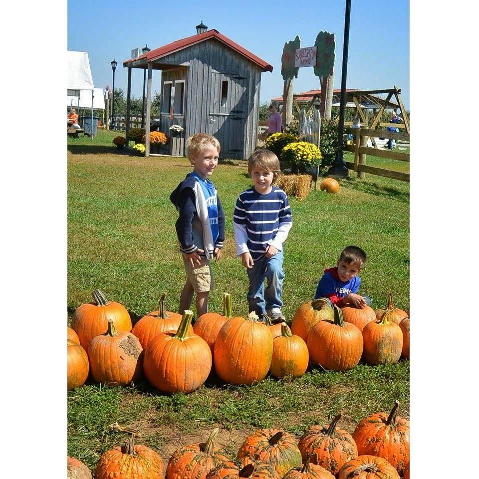 Pre - School / Kindergarten Field Trip Tour - Nutrient Farm