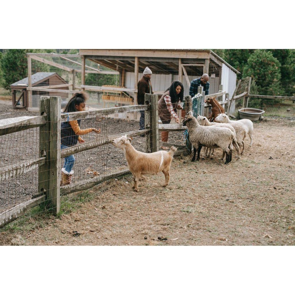 Ranch Tour - Nutrient Farm