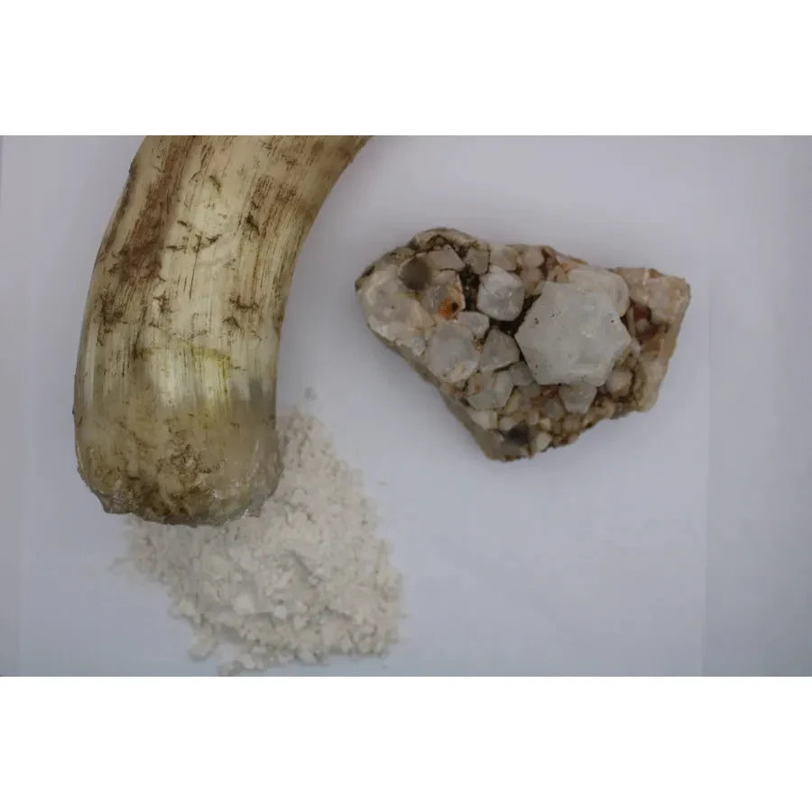 Biodynamic Preparation #501 Cow Horn Silica