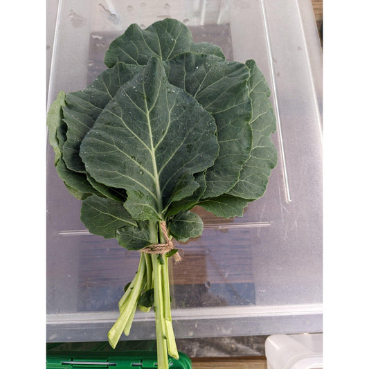 Soil - Grown Collard - Nutrient Farm