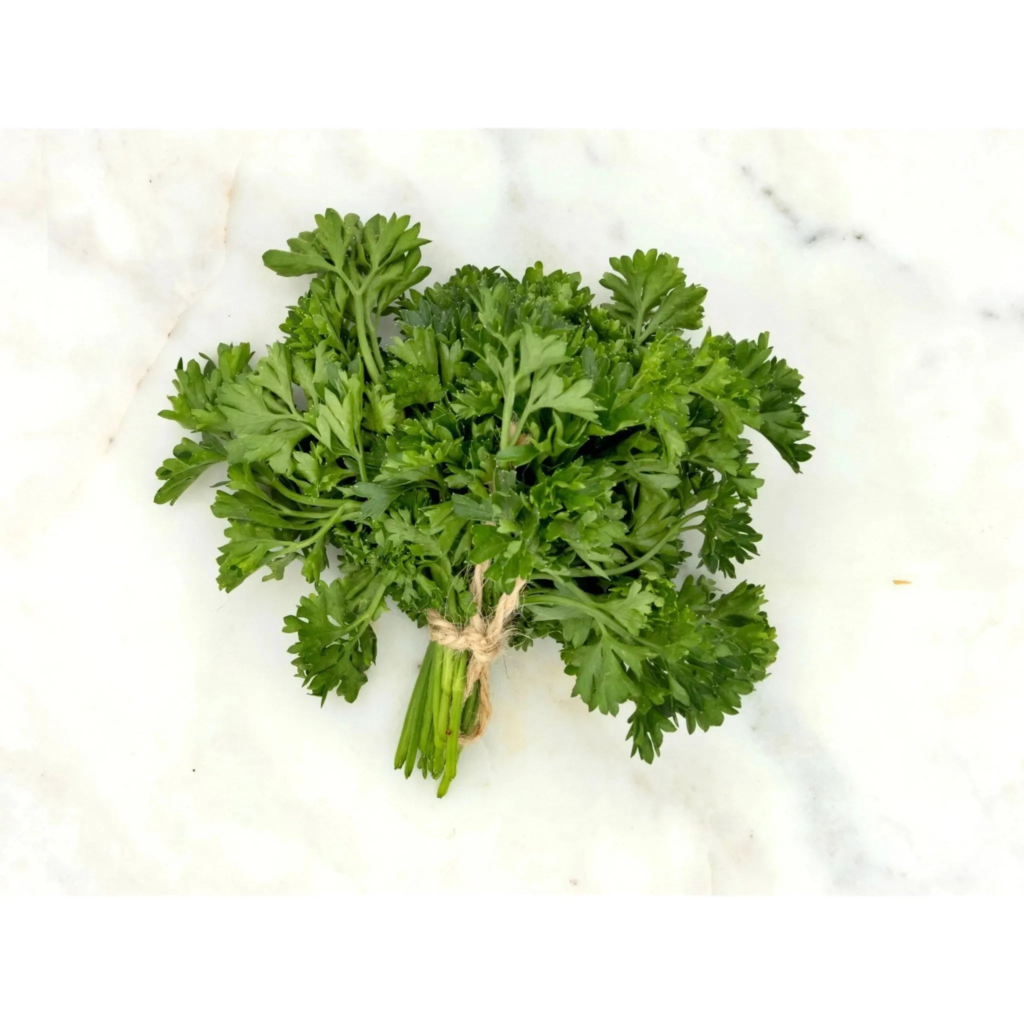 Soil - Grown Parsley - Nutrient Farm