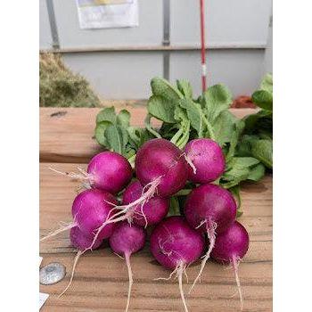 Soil - Grown Radish - Nutrient Farm