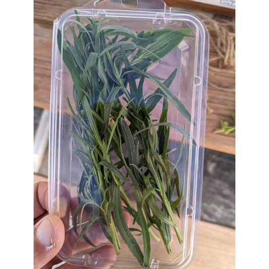 Soil - Grown Rosemary - Nutrient Farm