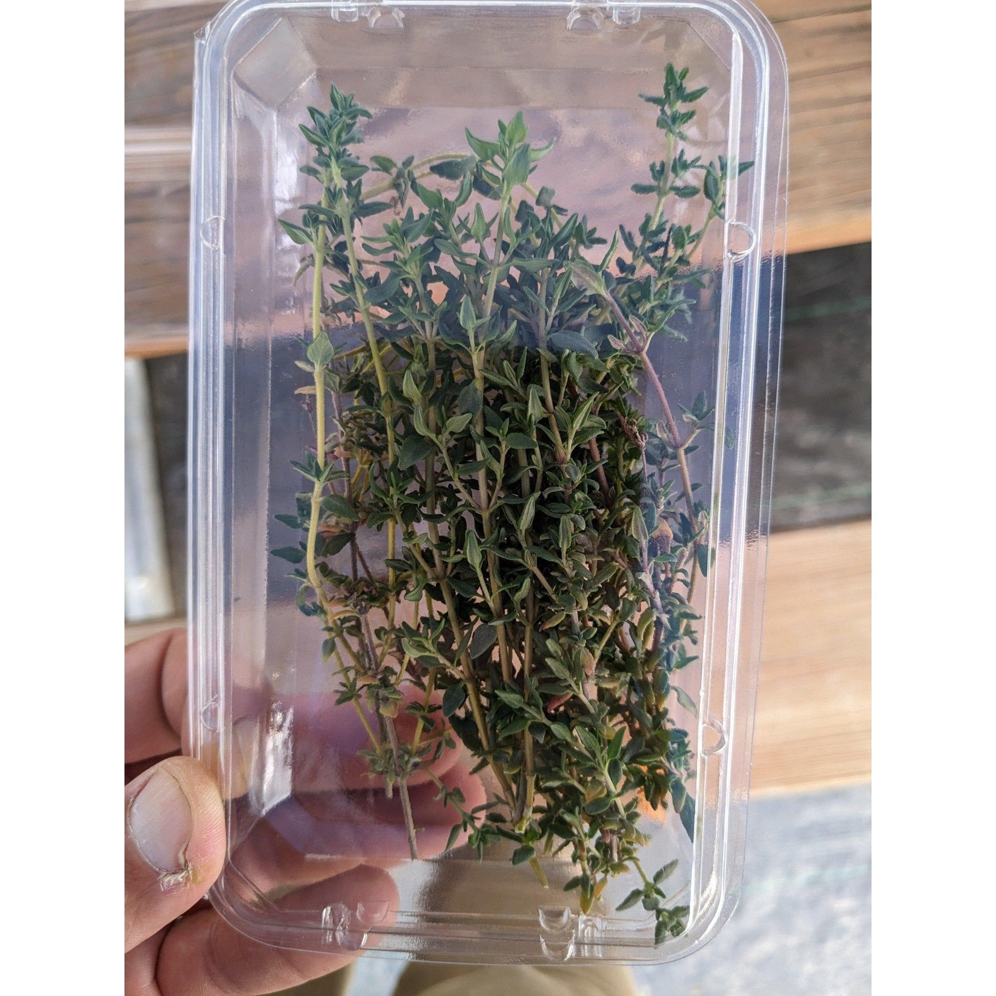 Soil - Grown Thyme - Nutrient Farm