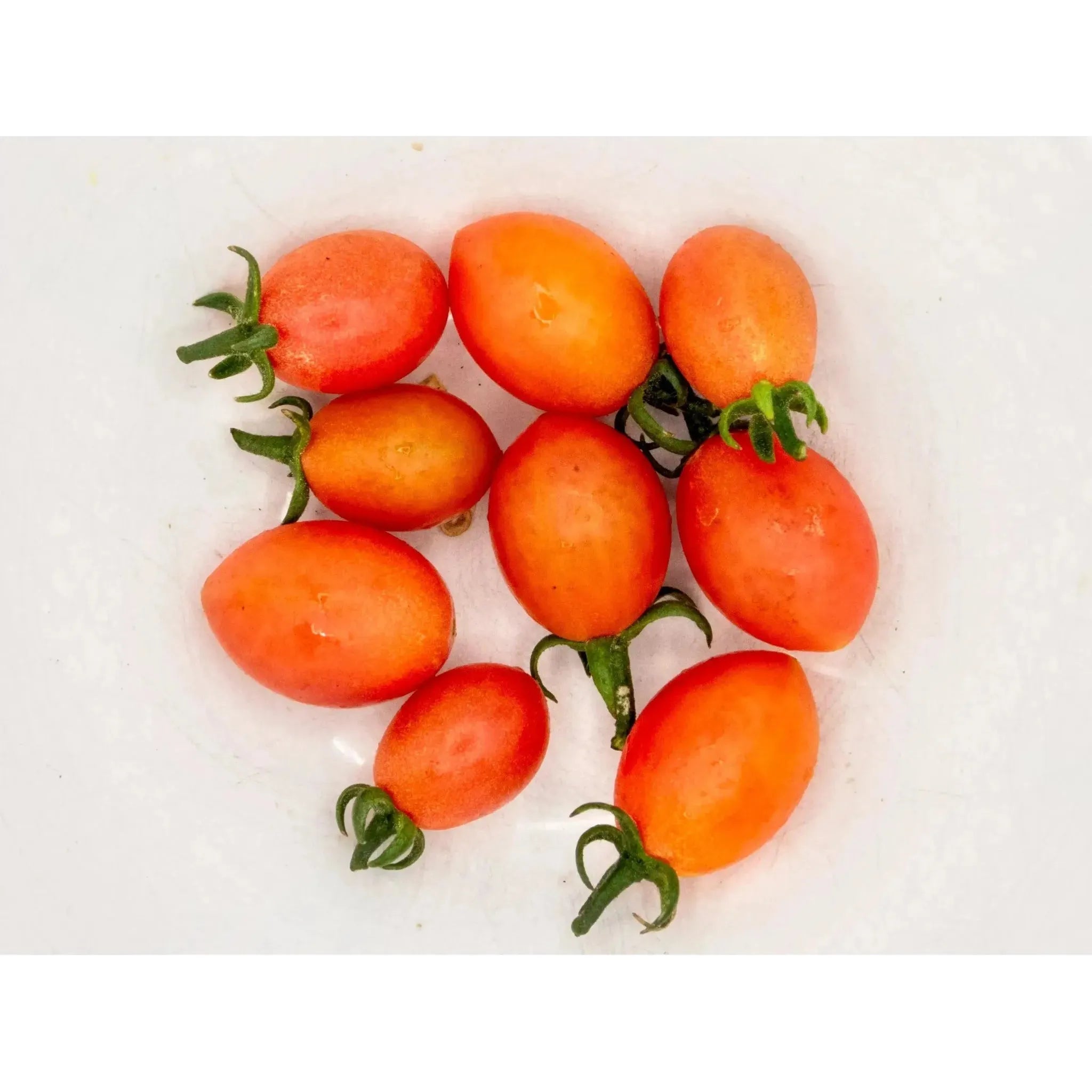 Soil - Grown Tomato Cherry - Nutrient Farm