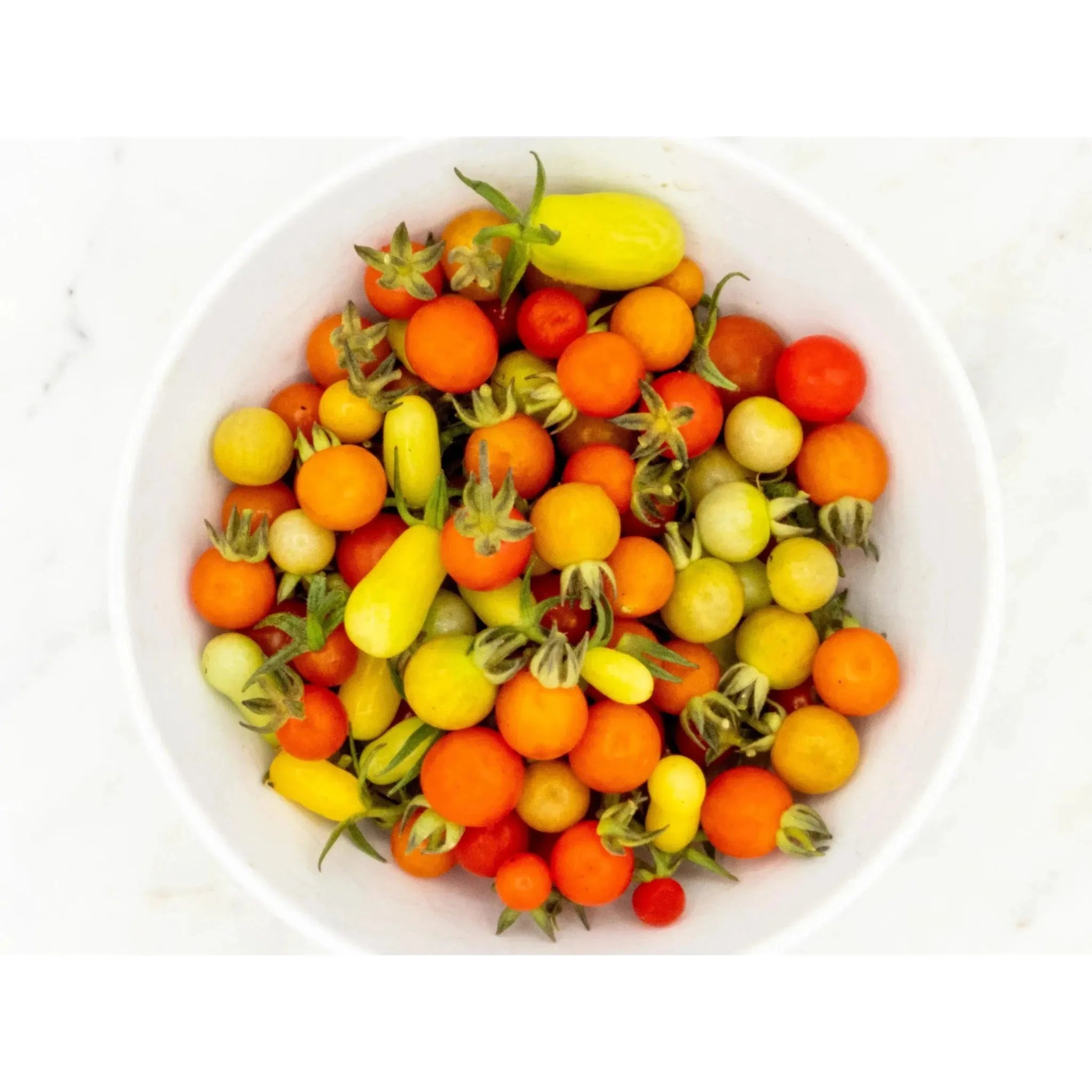 Soil - Grown Tomato Cherry - Nutrient Farm