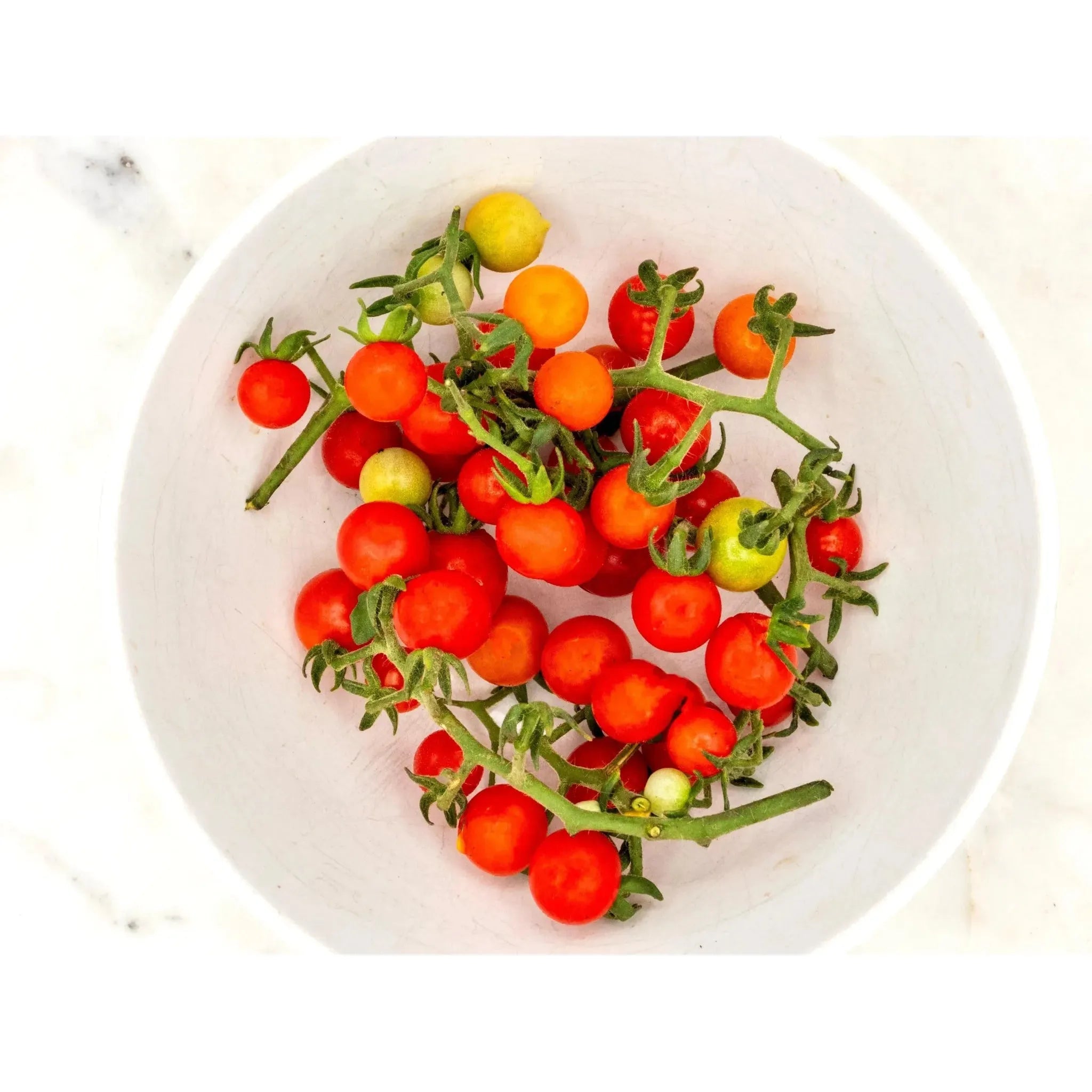 Soil - Grown Tomato Cherry - Nutrient Farm