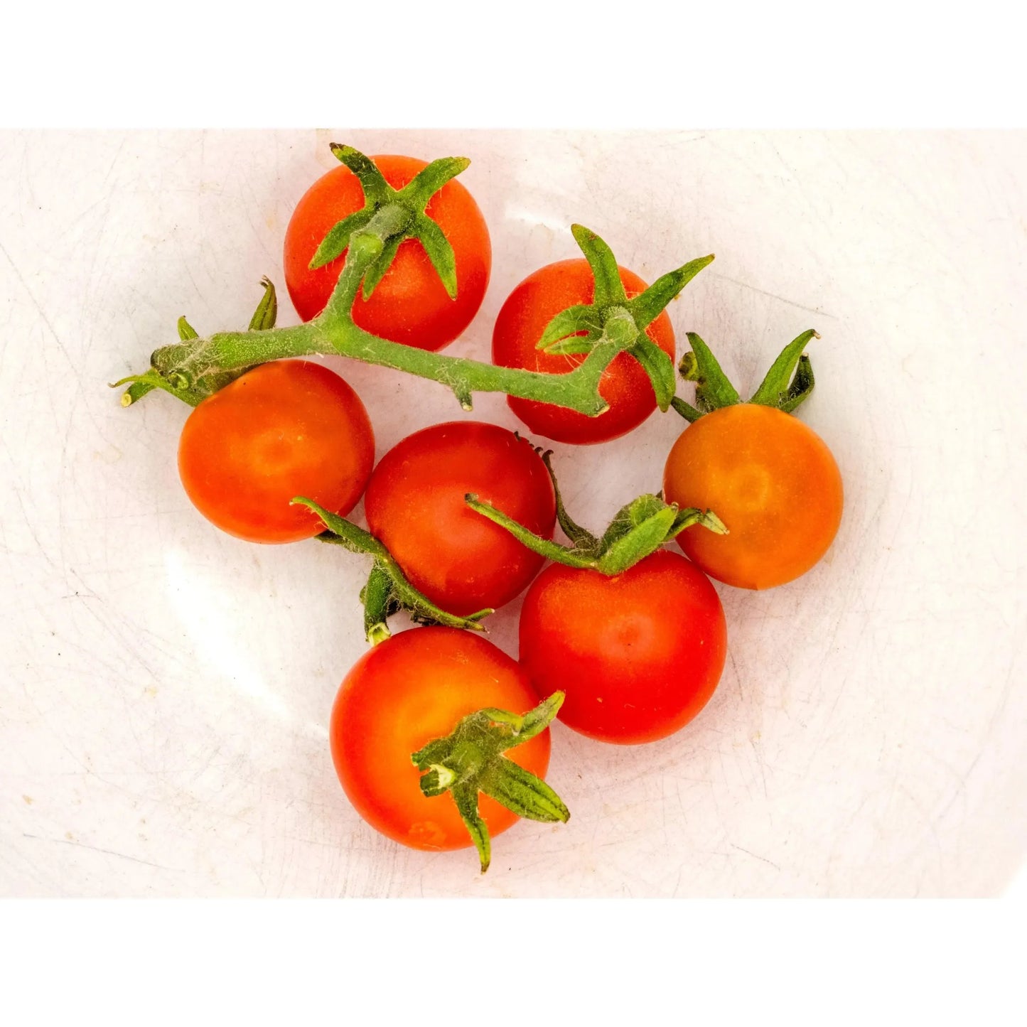 Soil - Grown Tomato Cherry - Nutrient Farm