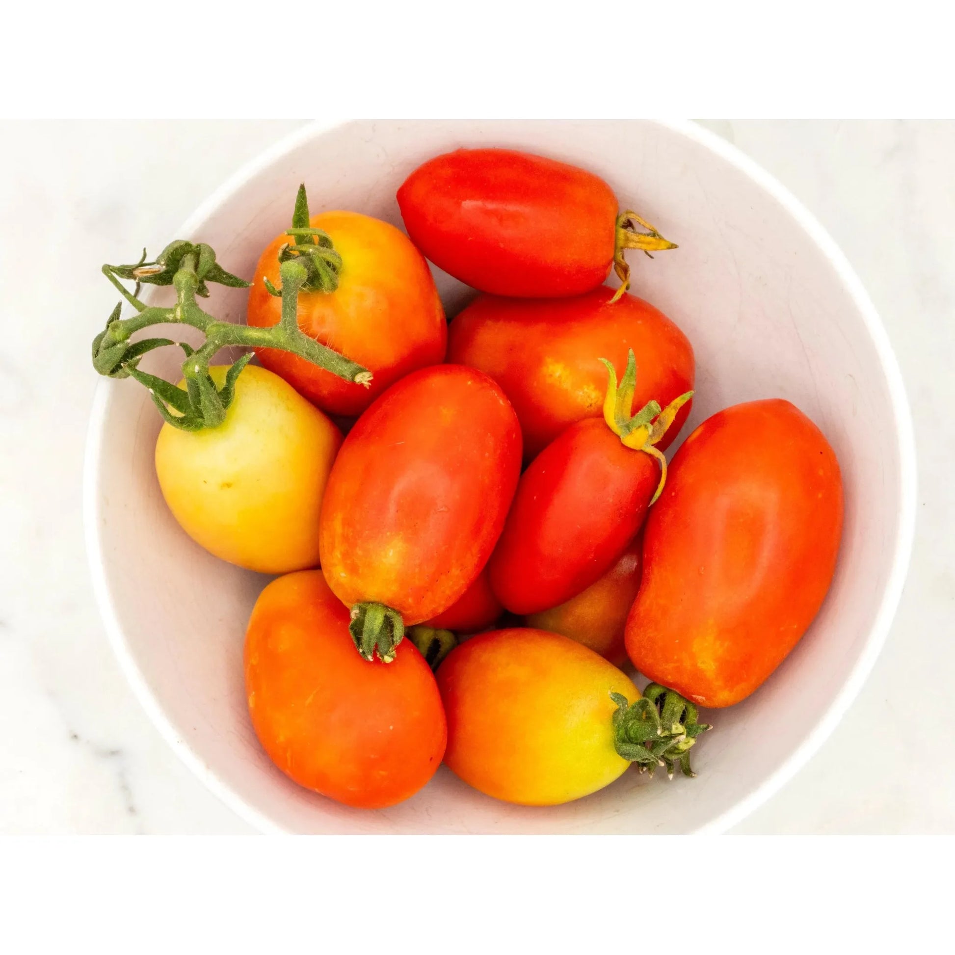Soil - Grown Tomato Roma - Nutrient Farm