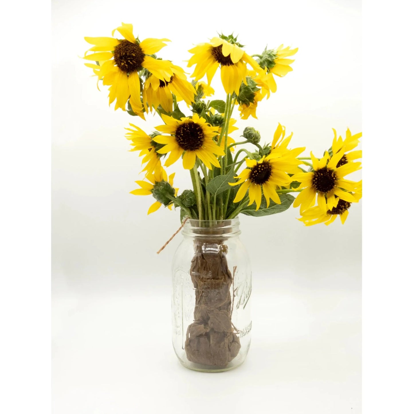 Wild Sun Flower Bouquet - Nutrient Farm